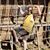 Chris Earley's profile image