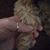 Terri Kidd Townsend's profile image