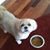 Sandy Walter's profile image