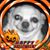 David L. Mobley's profile image