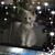 Susan-Wally Coriell-Horne's profile image