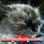 Michelle Beddes Gross's profile image