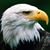 Juan Carlos Rosales's profile image