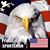 Jason Putnam's profile image