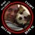 Darren Pollack's profile image