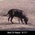 Terri O'Dell's profile image
