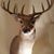 Robert Clark's profile image