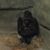 Mark Fowler's profile image