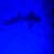 Debbie Pressey Strain's profile image