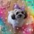 Nichole Smith's profile image