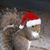 Jonh Doe's profile image