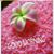 Arun Arora's profile image