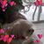 Roz Weisberg's profile image