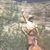 Robert Galebach's profile image