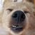 Michelle Burris's profile image