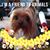 DaveJudy Lucas's profile image
