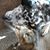 Judy Purkiss's profile image