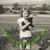 Rhonda Denise McElroy's profile image