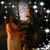 Sara Donaldson's profile image