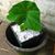 Persolite Products's profile image