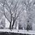 Lori Lefever's profile image