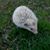 Kim Funck's profile image