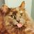 Steven Check's profile image
