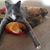 Jenny Knott's profile image