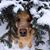Lynn Storms-Russell's profile image