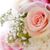 Giovanna Vergaray's profile image