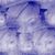 Shakeera Davis's profile image
