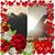 Toni Navarrette's profile image