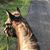 Michele Hughes's profile image