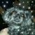Kristi Wiemers's profile image