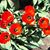 Sharon Gruel's profile image