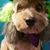 Pat Stanek's profile image