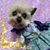 Brenda Coates's profile image