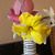 Sheila Braybrooks Mestre's profile image