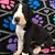 Allison Calderon Edmisten's profile image
