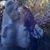 Joan Johnston Clarkson's profile image
