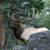 Dennis Shane Rasmussen's profile image