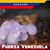 Magali M. Herrera Ameller's profile image