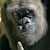 Doug Kempker's profile image