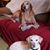 Ellen Kling's profile image
