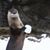 Leslie Ertle Anderson's profile image