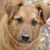 Dene Kirn's profile image