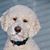 Ruth Eagen Dean's profile image