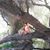 Melina Cepeda's profile image