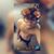 Chriss Daniel's profile image