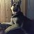 Wilma Upchurch's profile image